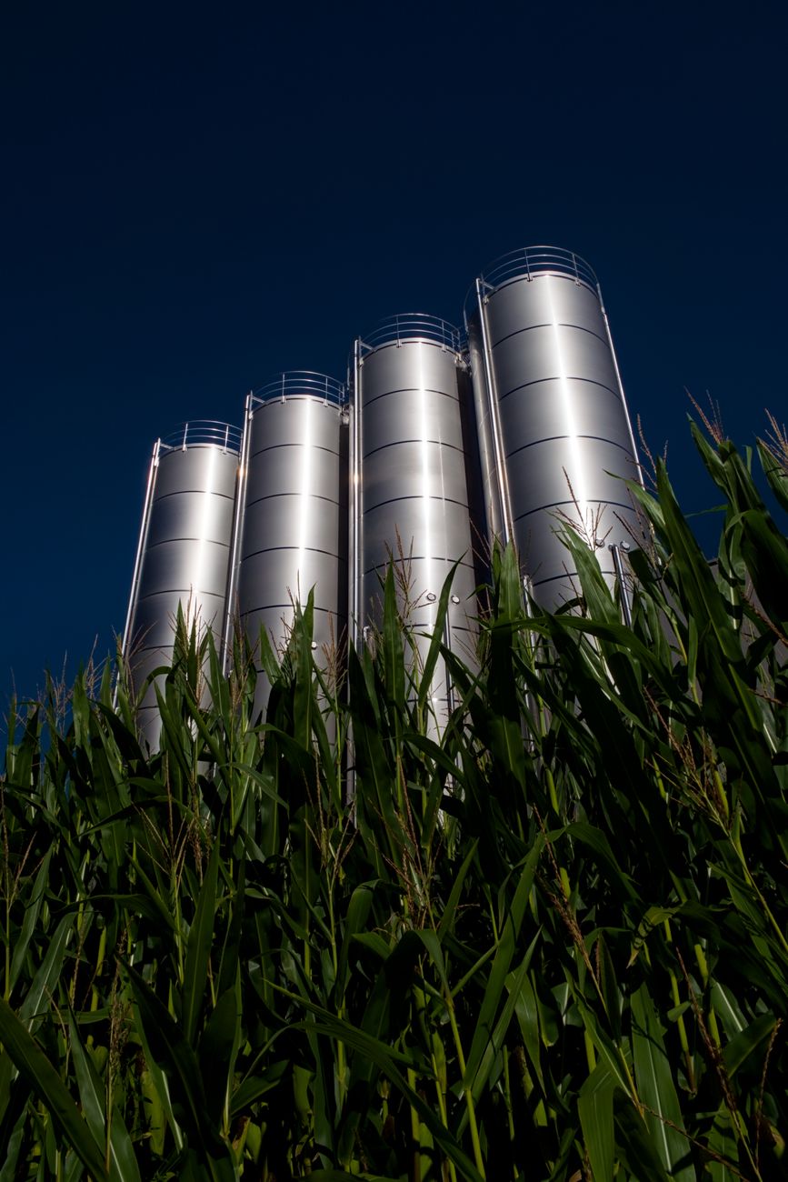 Modern steel grain silos above a green crop field