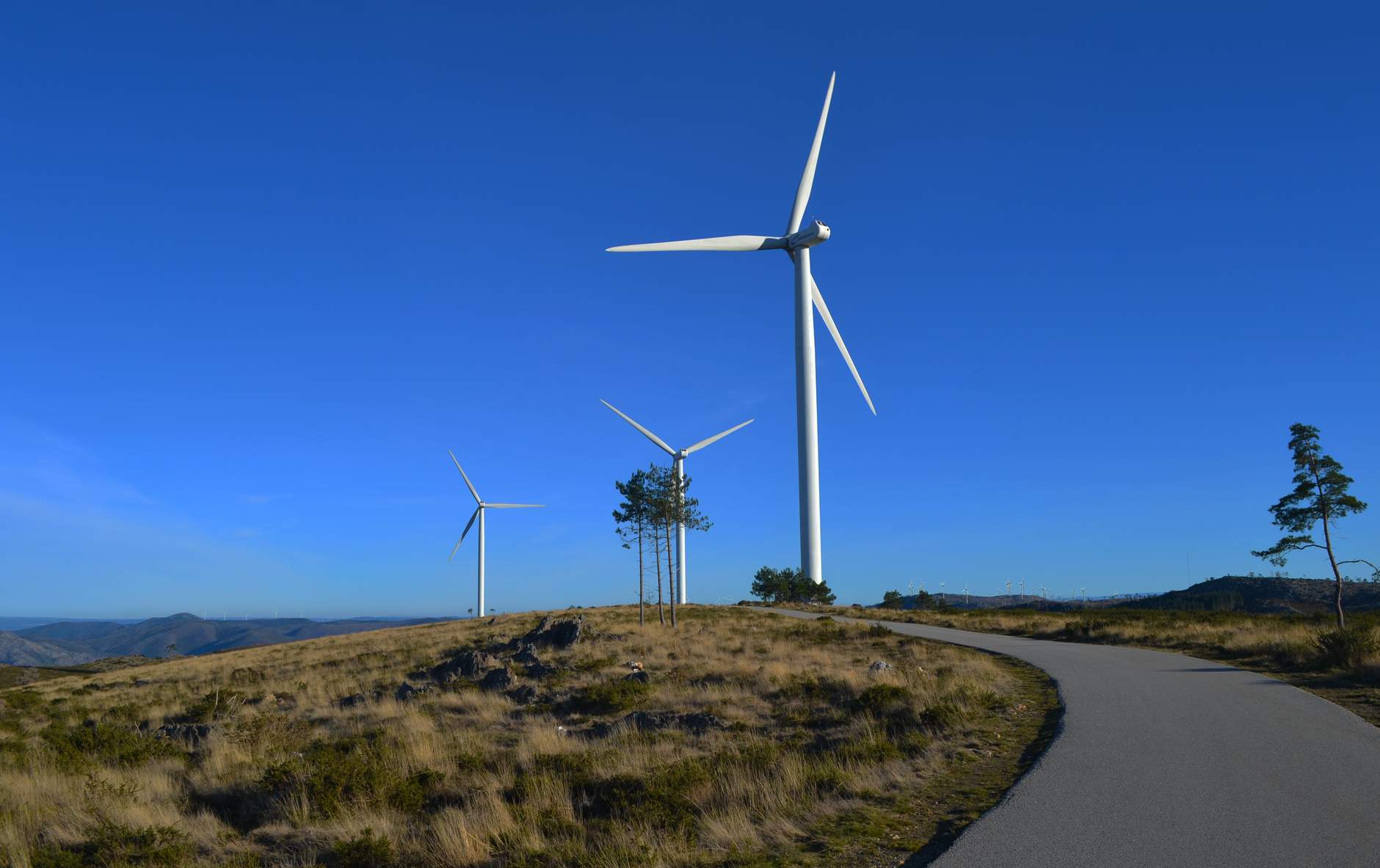 Wind turbines across an open grassy field under a blue sky