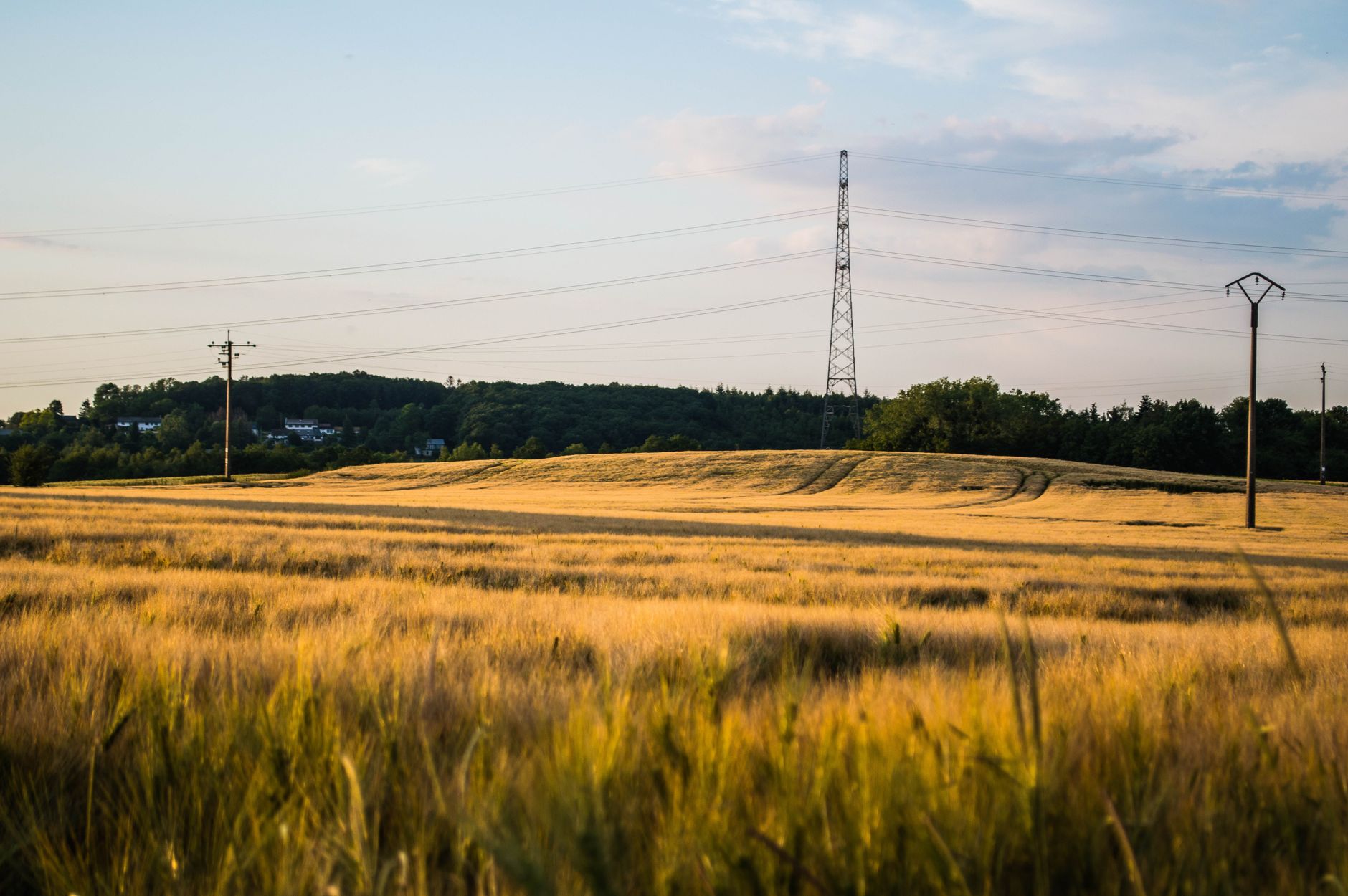 High-voltage transmission towers across open farmland at sunset